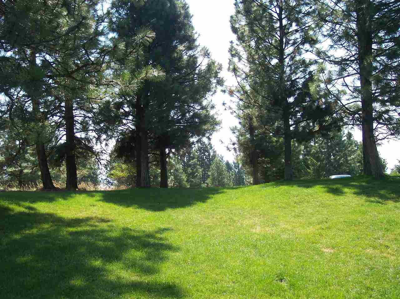 19109 E Crestwood - Photo 12