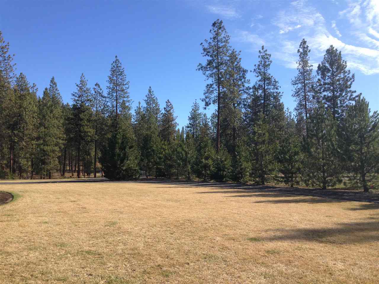6585 Lake Forest Dr - Photo 14