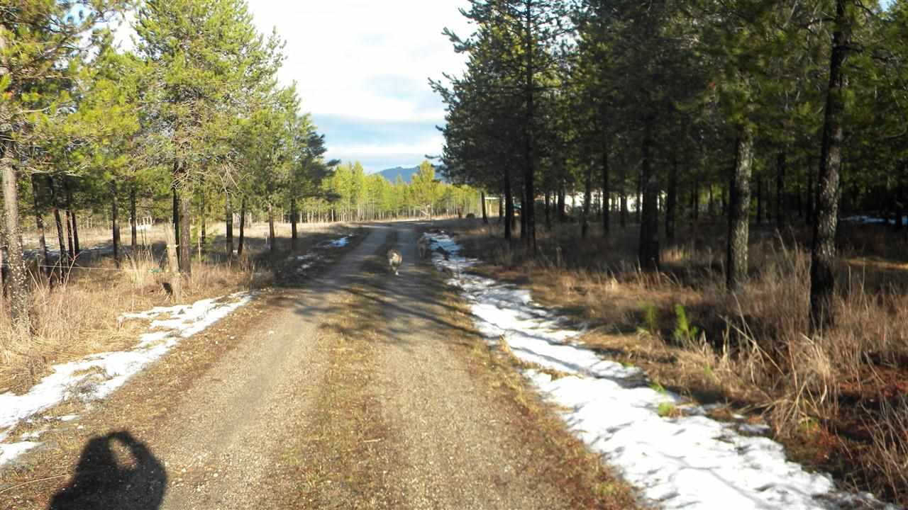 13427 E BRIDGES Rd - Photo 5