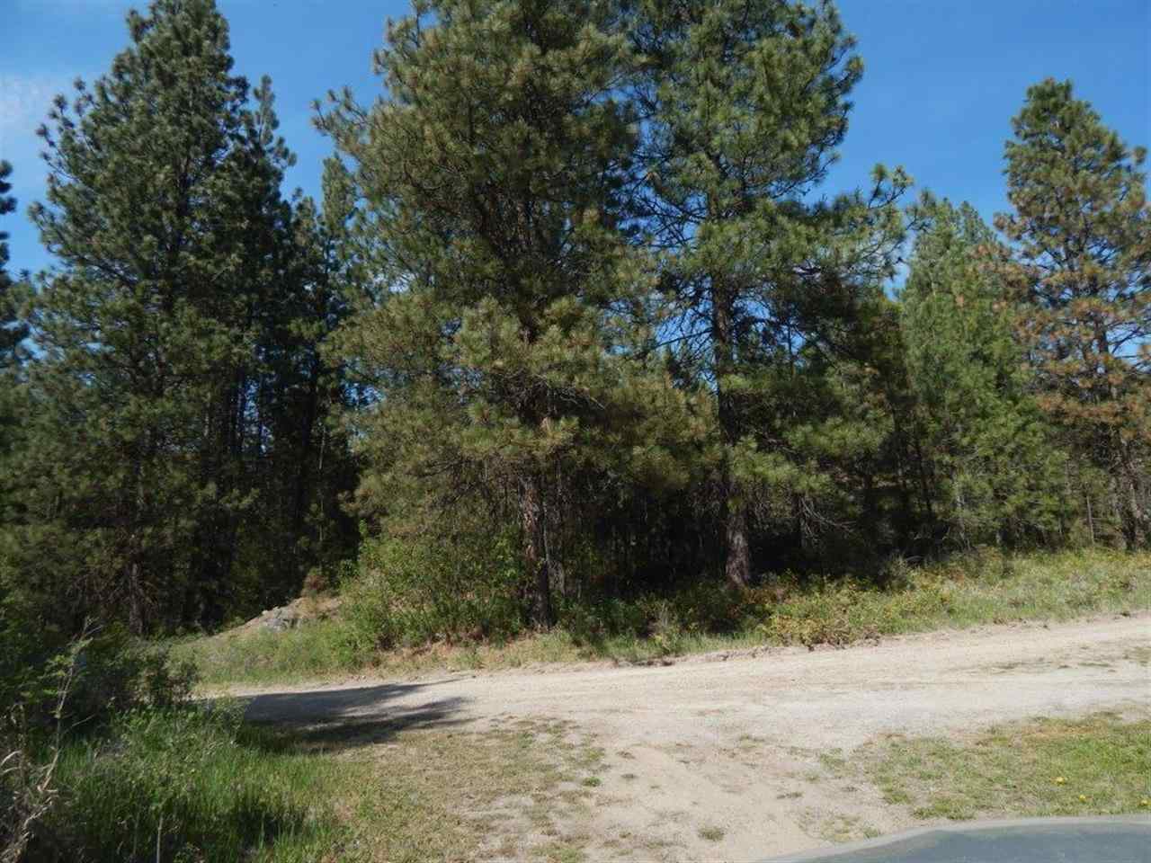 1132 C Philleo Rd - Photo 6