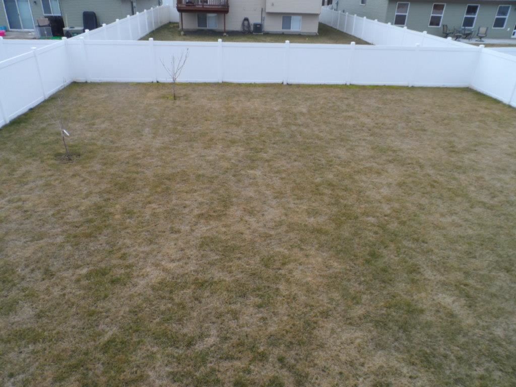 1709 W Cimarron Ln - Photo 9