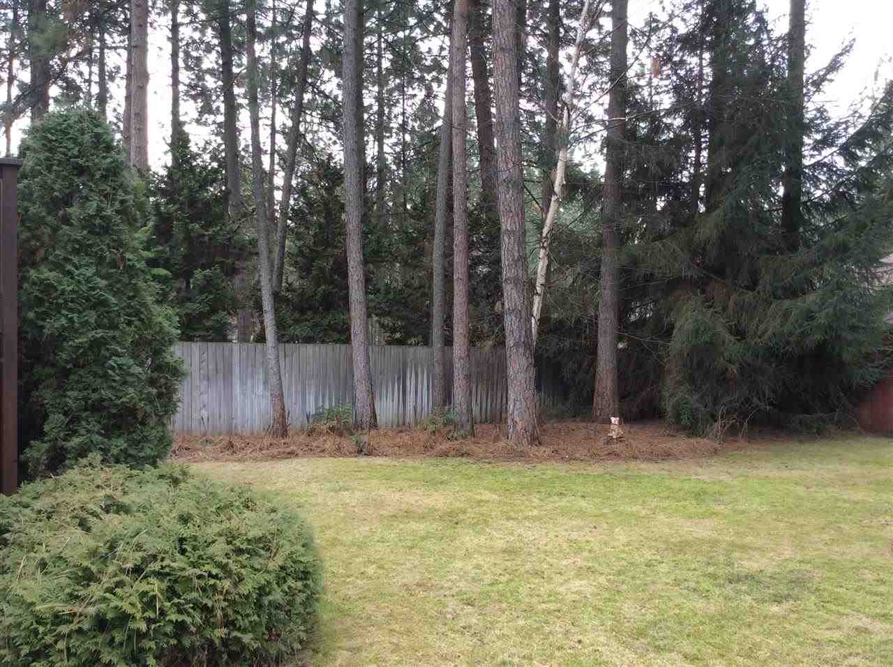 10611 N College Place Dr - Photo 10