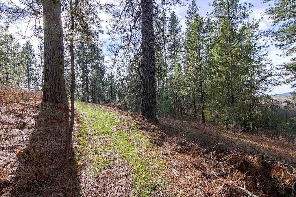 5026 W Staley Rd - Photo 8