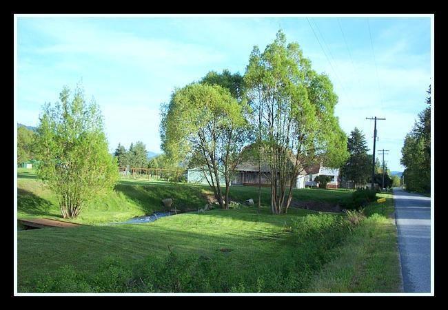 2238 Cozy Nook Rd. - Photo 17