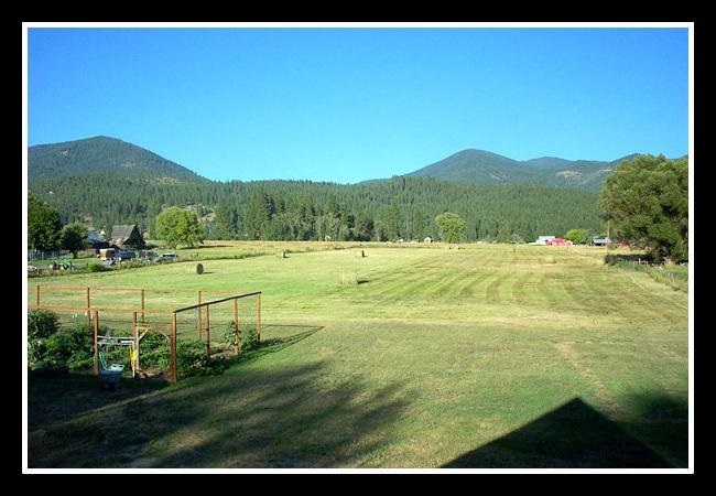 2238 Cozy Nook Rd. - Photo 18