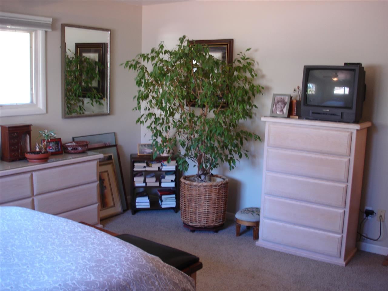 4056 S Helena St - Photo 7