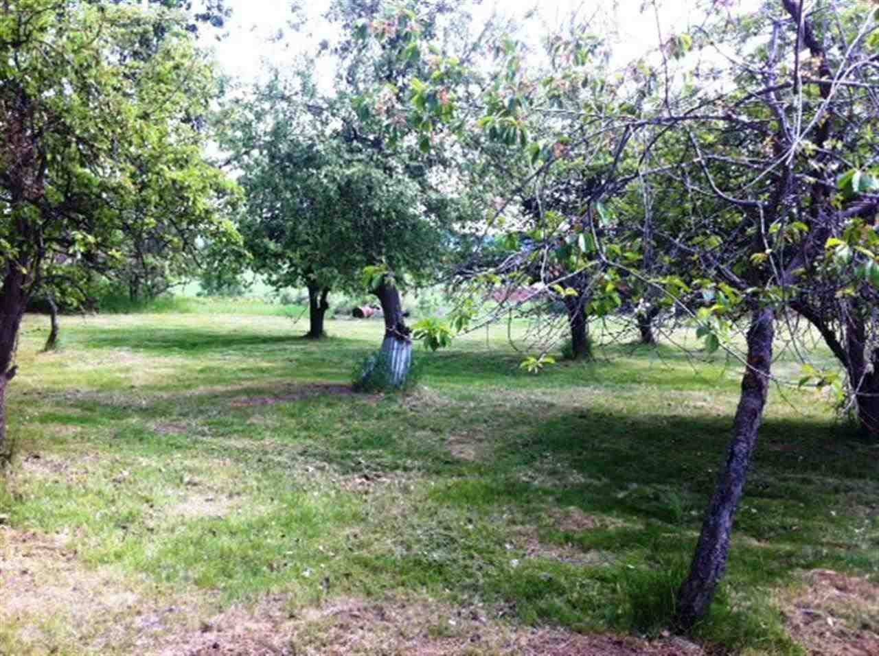 7701 W Cross Cut Rd - Photo 13