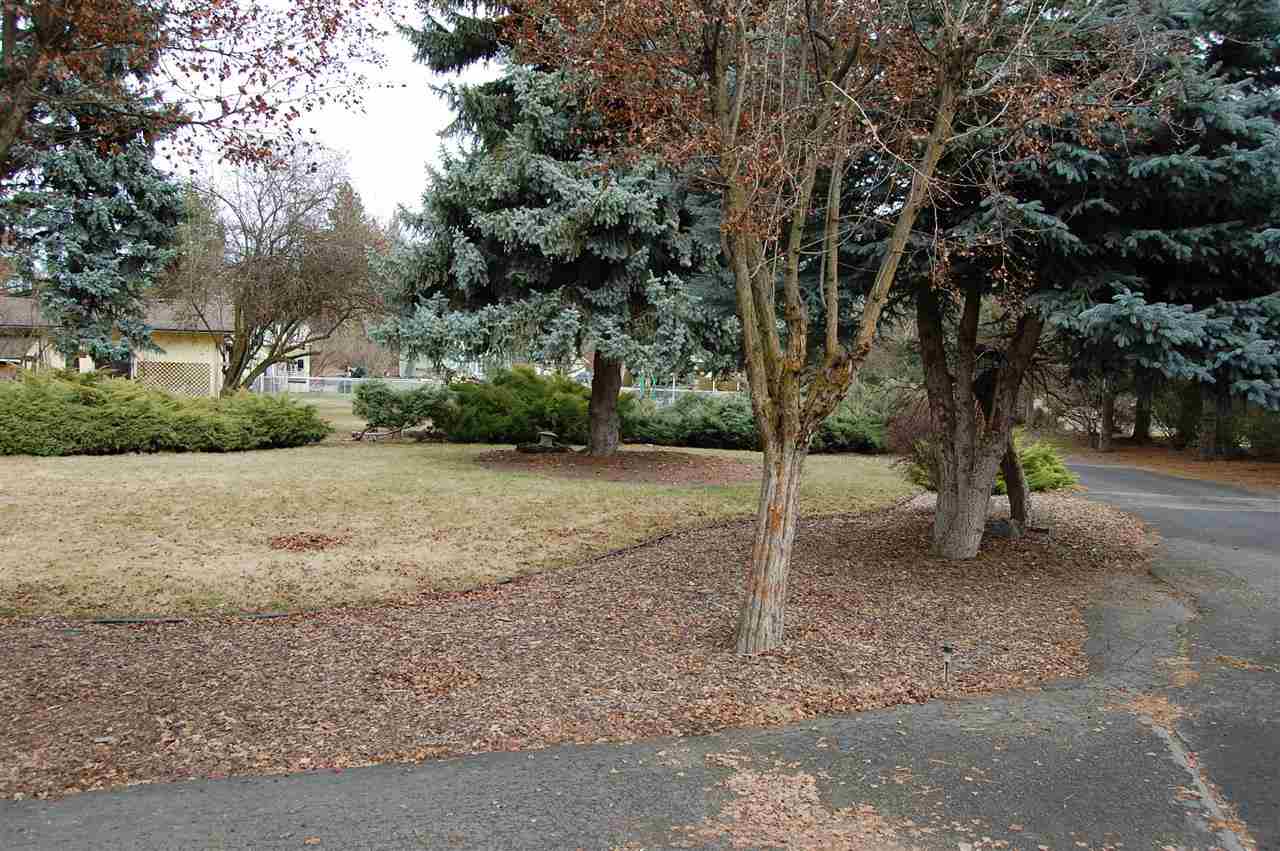 1902 S Garden Ln - Photo 4