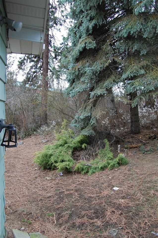 1902 S Garden Ln - Photo 10