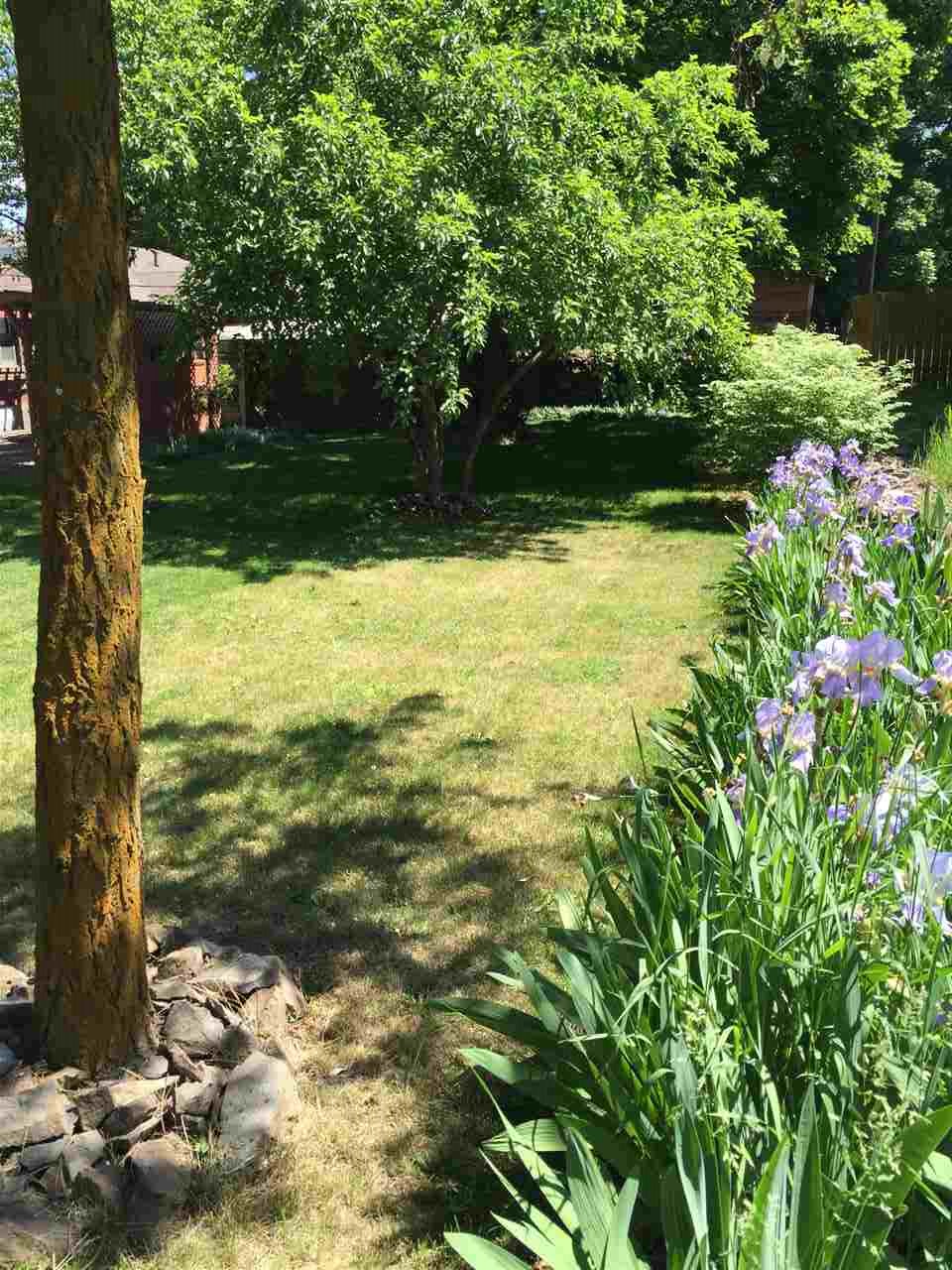1008 E 5th Ave - Photo 19