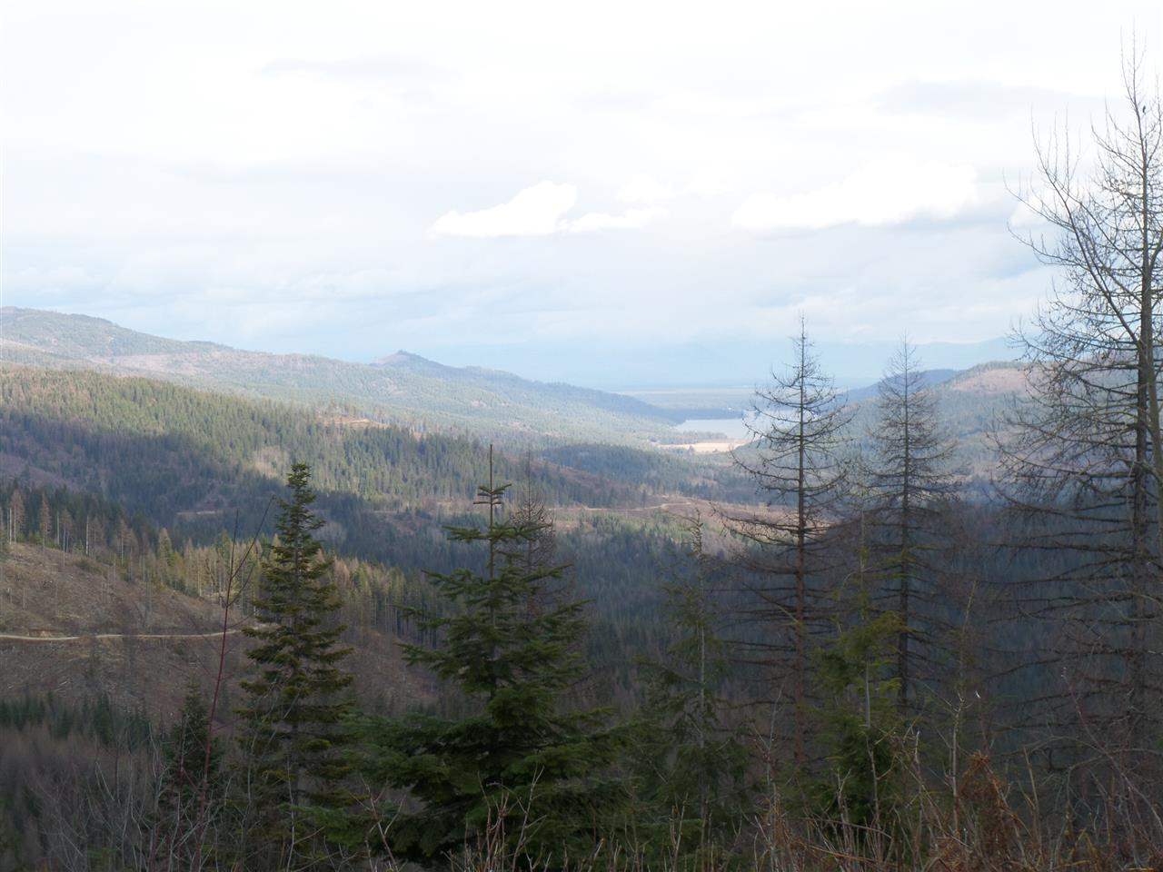 403 Spirit Inn - Photo 18