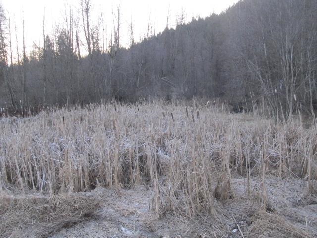 2275 Cedonia Addy Rd - Photo 17