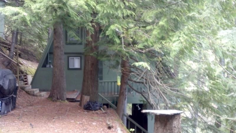 732 Cunningham Rd - Photo 3