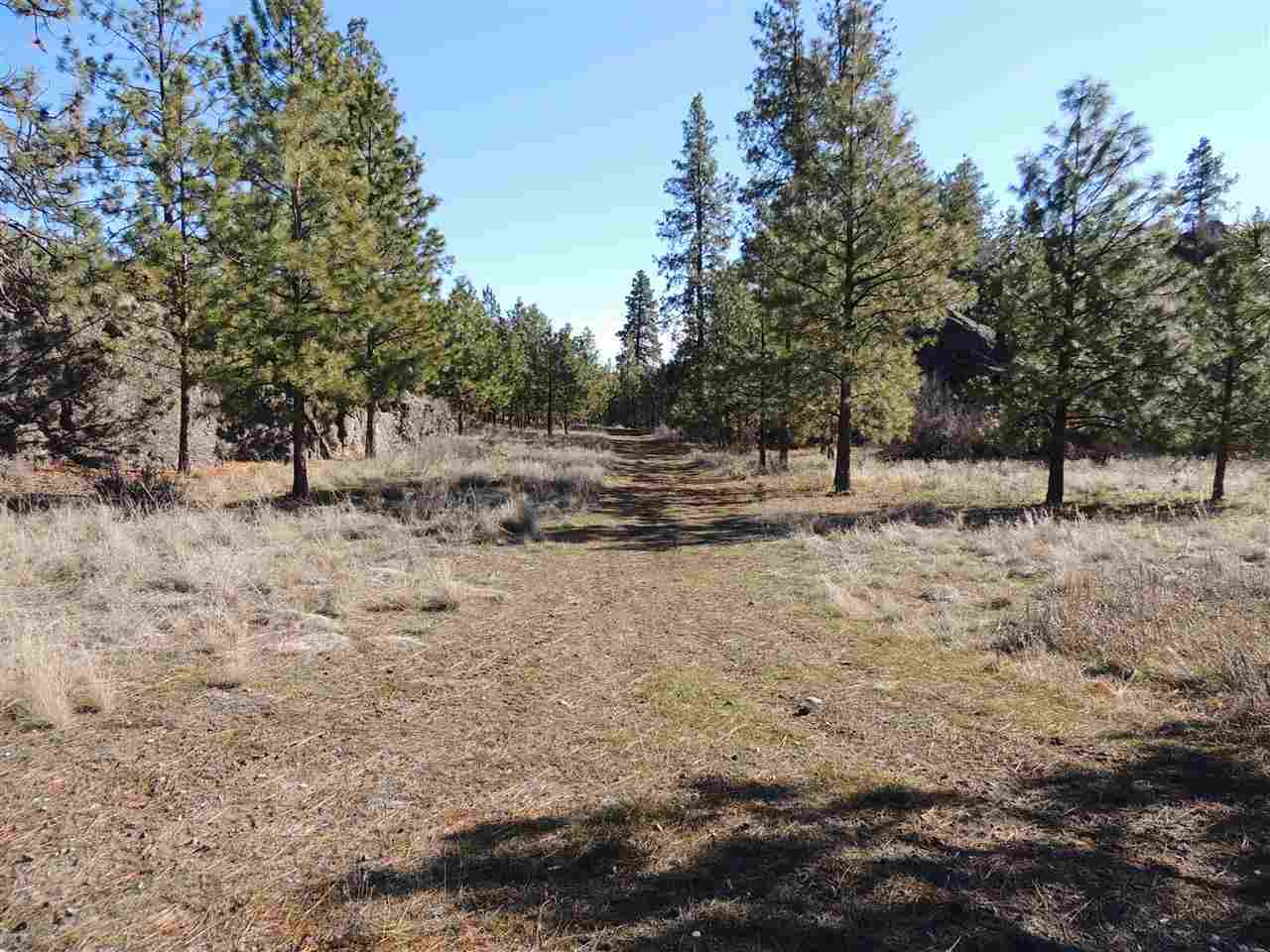 41514 Sterling Valley Rd N - Photo 12