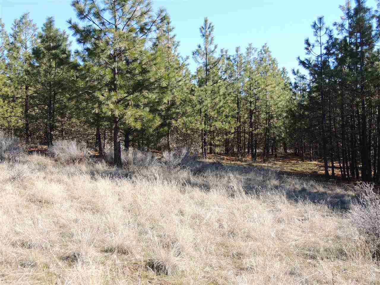 41514 Sterling Valley Rd N - Photo 14