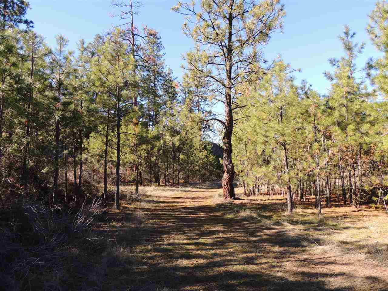 41514 Sterling Valley Rd N - Photo 17