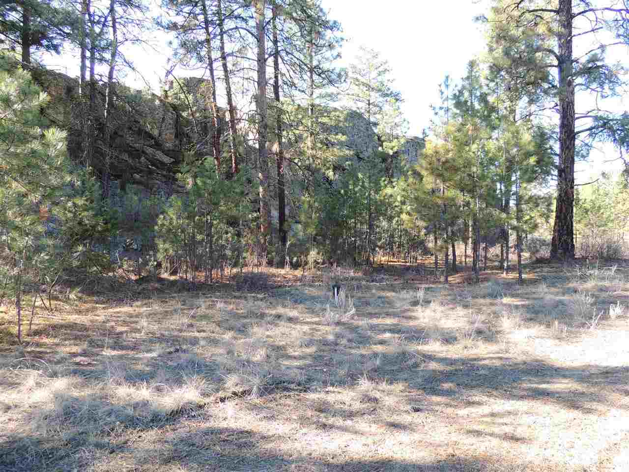 41514 Sterling Valley Rd N - Photo 19