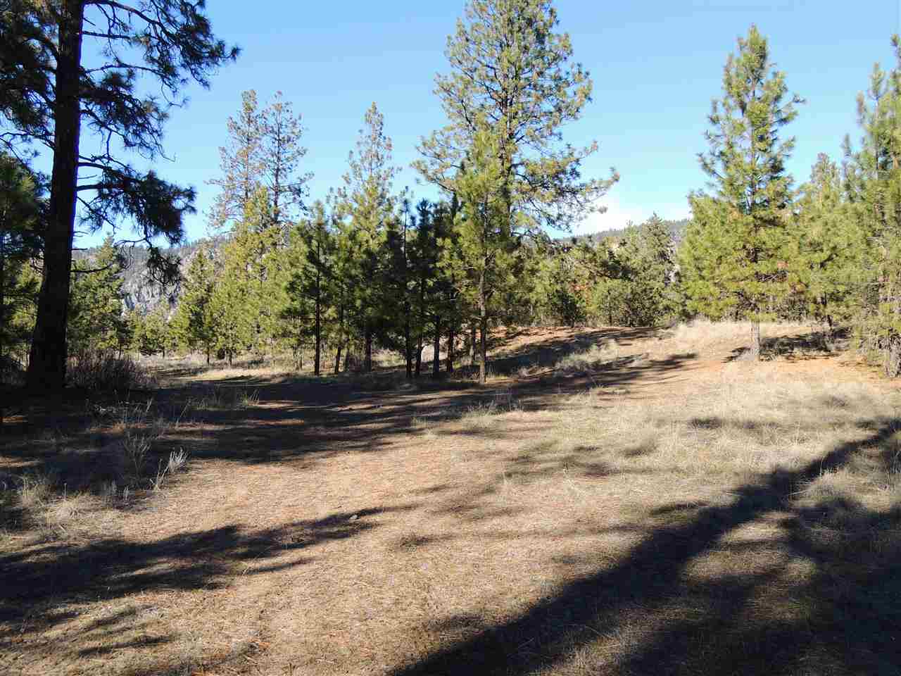 41514 Sterling Valley Rd N - Photo 20