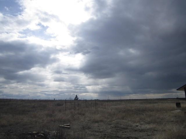 26320 Sterett Rd N - Photo 5