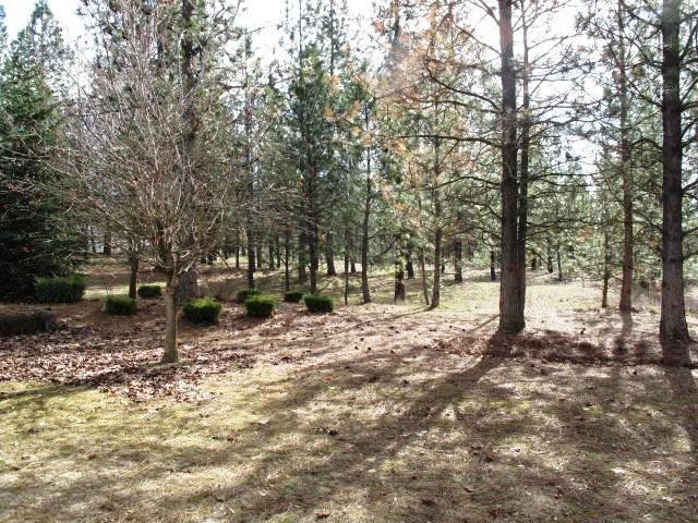 4419 W Skyline Dr - Photo 19