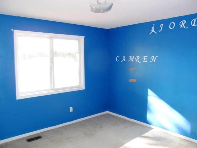 7437 N Standard St - Photo 8