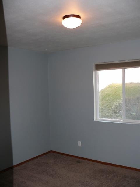 2006 N Bell St - Photo 11