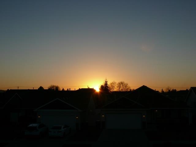 2006 N Bell St - Photo 19