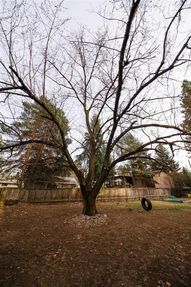 3723 S Myrtle - Photo 15