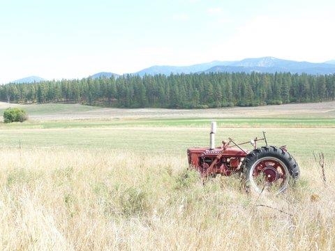 2789 FARM TO MARKET Rd - Photo 6