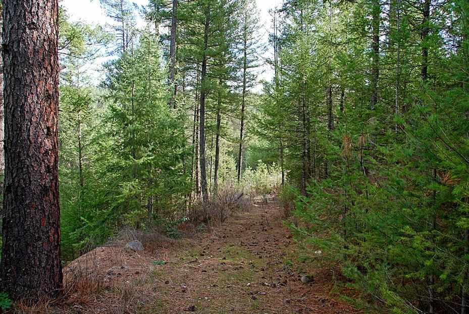 32502 N Ridge Rd - Photo 19