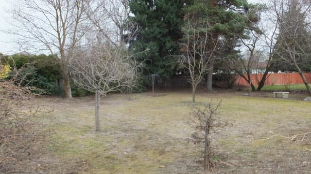809 S University Rd - Photo 2
