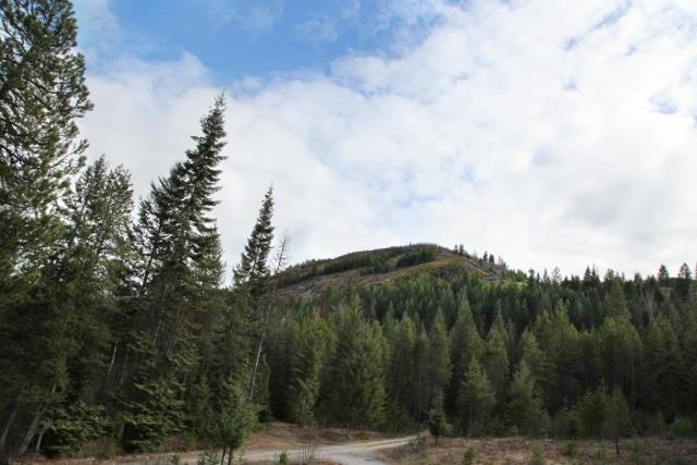 292 Saddle Mountain Dr - Photo 3