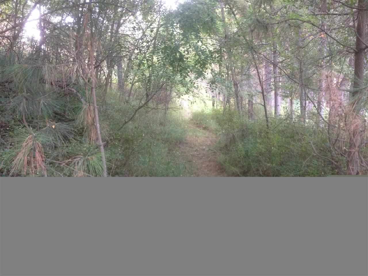24811 E cole - Photo 12