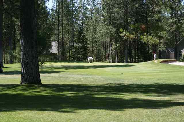 126 W TRAPPERS Loop - Photo 9