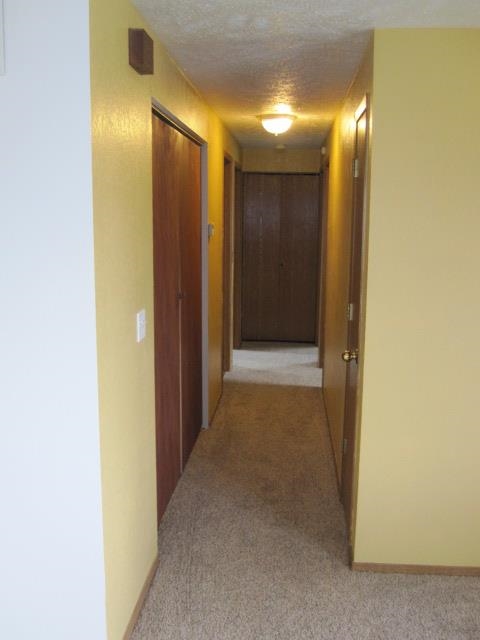 1225 E 4th St - Photo 4