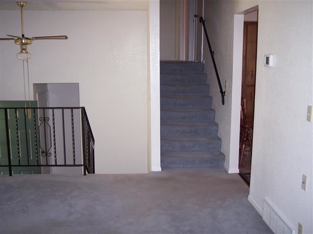 27903 N Piney Ridge Rd - Photo 12