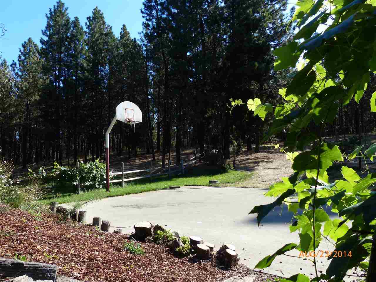 7327 S Cedar Rd - Photo 4