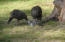 3661 Deep Lake Boundary - Photo 14