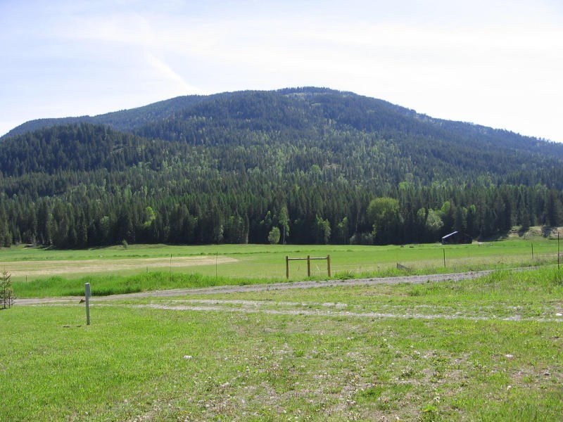 3661 Deep Lake Boundary - Photo 7