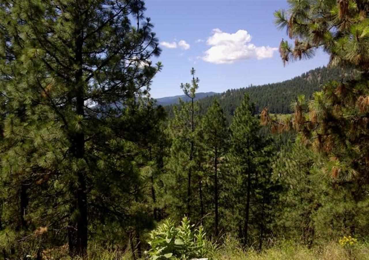 590 KNAPP Rd - Photo 16