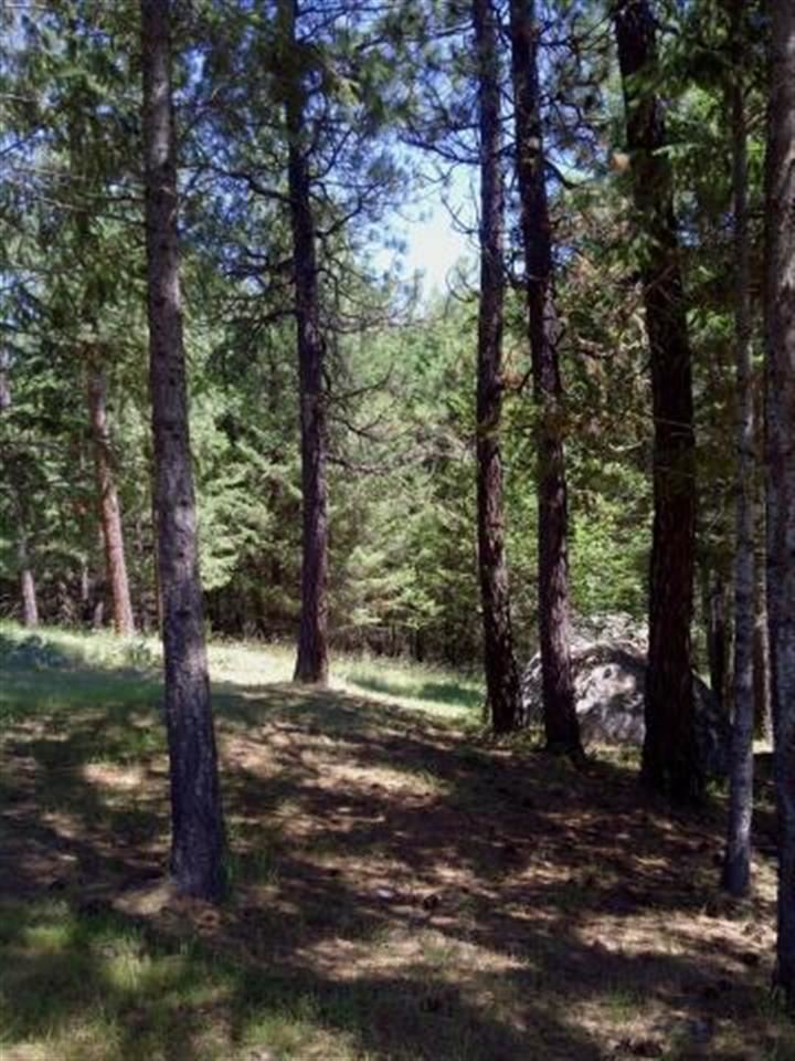590 KNAPP Rd - Photo 17