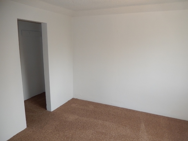 2425 E Decatur Ave - Photo 13
