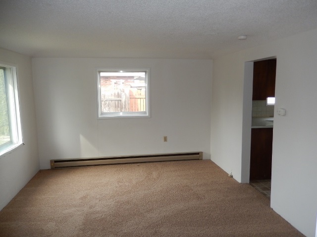 2425 E Decatur Ave - Photo 4