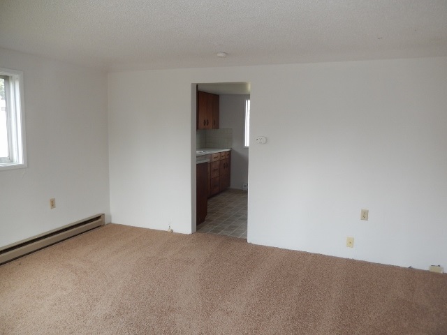 2425 E Decatur Ave - Photo 5