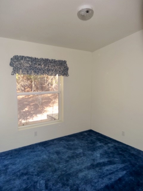 71 Riverview Dr - Photo 16
