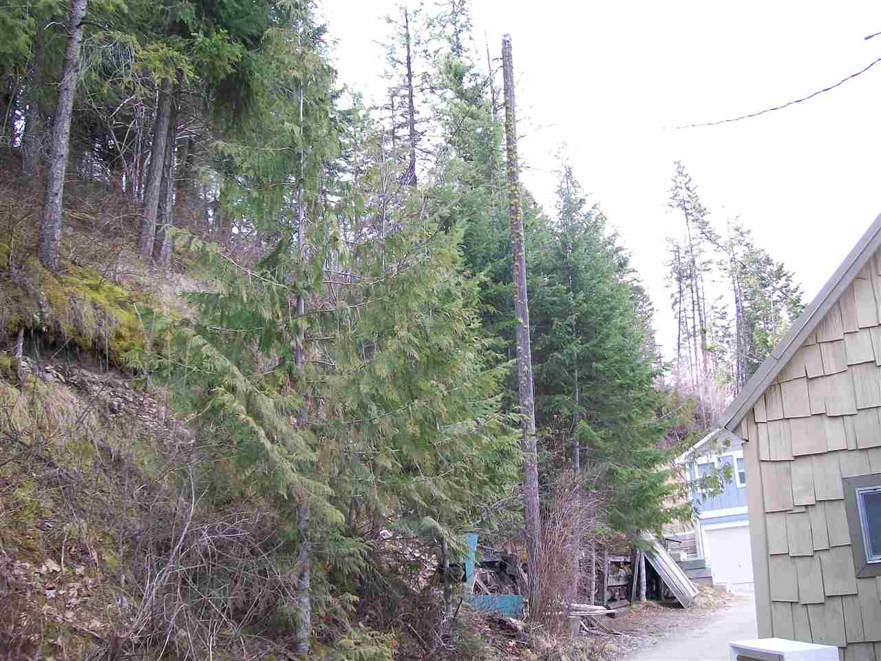 47535 E Deer Lake Way - Photo 16