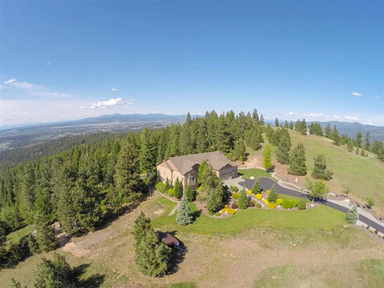 14811 E Arrowleaf Ln - Photo 3