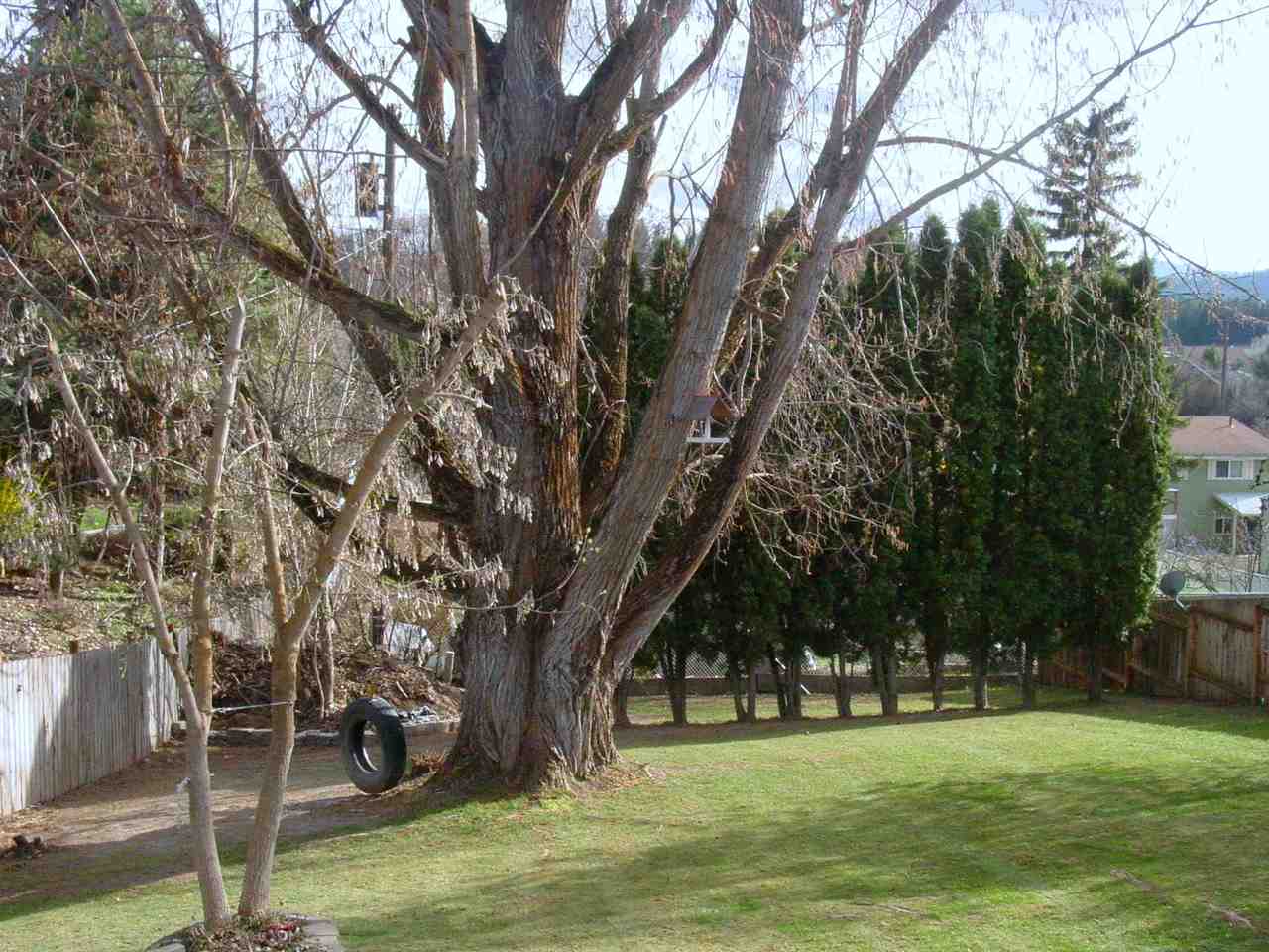1004 E Hawthorne Ave - Photo 5