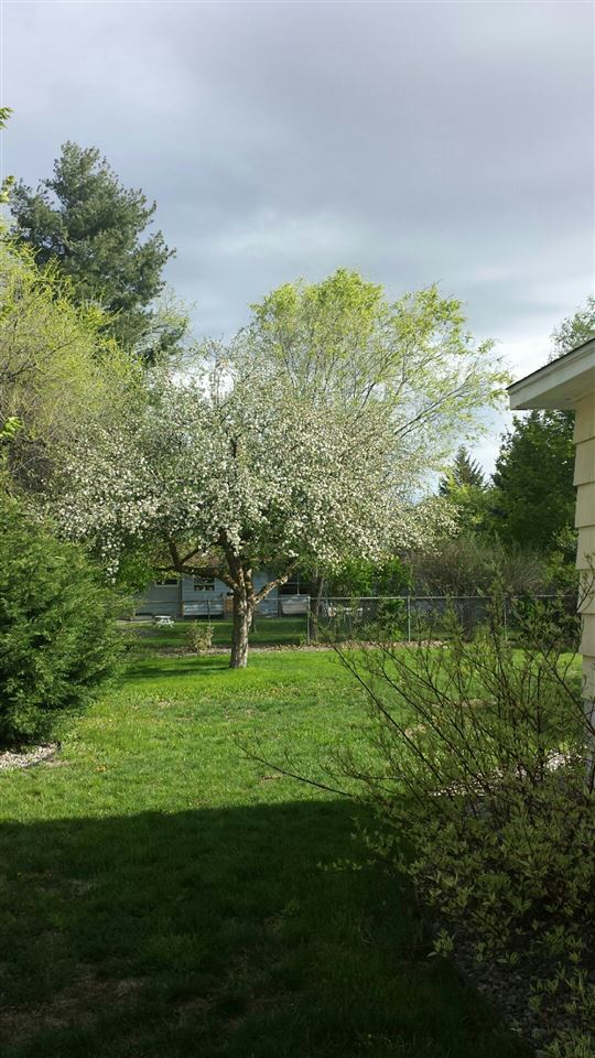 13217 E 5 th Ave - Photo 13