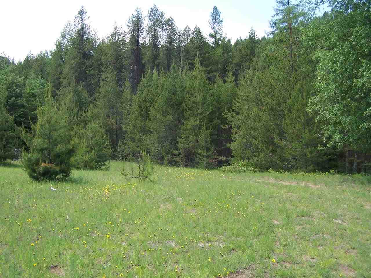 388992 HWY 20 - Photo 19